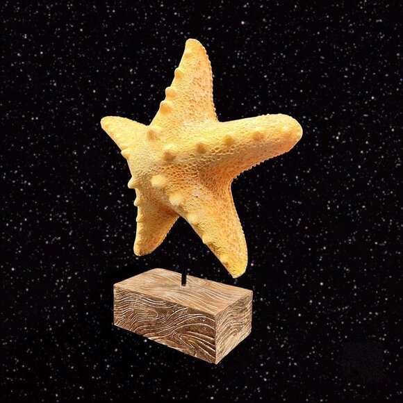 Starfish on Faux Wood Sculpture Figurine Large Wide 11”t 8”w - Picture 7 of 9